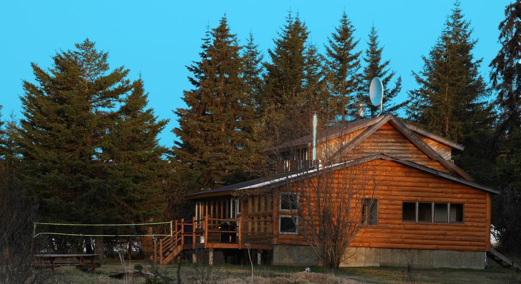 Bear Den Vacation Home Anchor Point Room photo